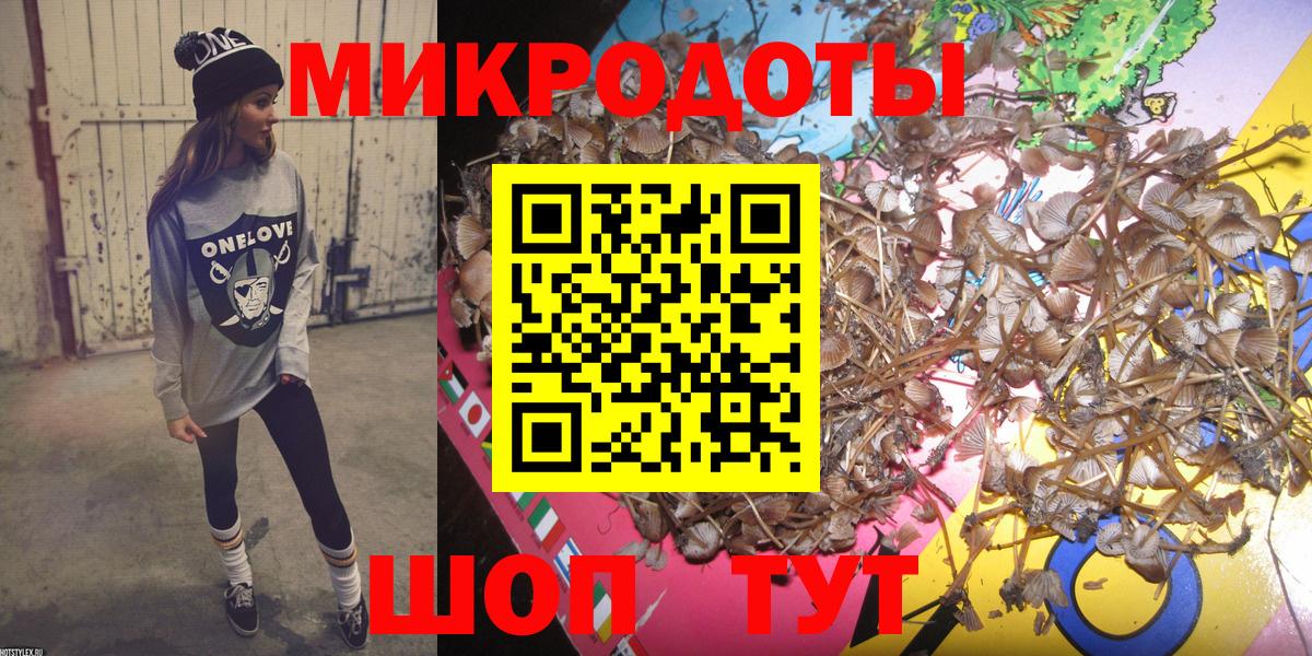 Медногорск  Галлюциногенные грибы Cubensis  Вход с VPN 